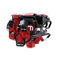 PUMP SELF PRIMING WB1000G - 115V 60