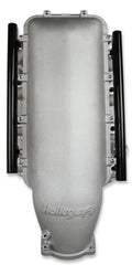 EFI HEMI HI-RAM WITH 95MM GM THRO BODY