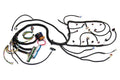 HR Valve Spring Kits - GM LS - 1.034