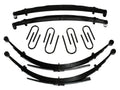Skyjacker leaf springs