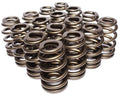 PAC RACING SPRINGS springs