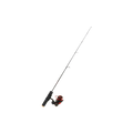 Clam Ice - 16656