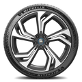 275/45R20 110Y XL PS EV ABLT0