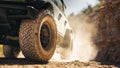 255/50R20 105V TPW TG A/S DT