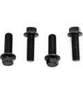PISTON WITH RINGS