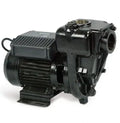 E300 PUMP 220V/60HZ ARL 2'BSP - REQ