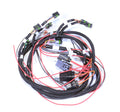 Ford Modular/Coyote XR-1A Coil Harness