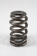 1.290 Valve Springs - Ovate Beehive (16)