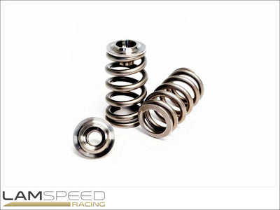 Kelford Cams springs