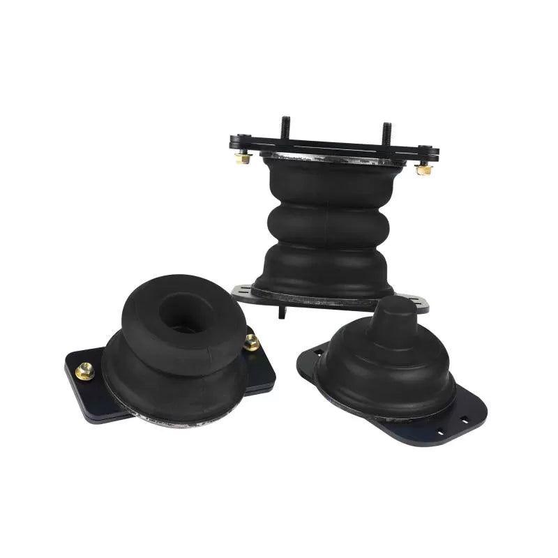 ~(25 lbs. 18X12X11)~ SumoSprings Rear for RAM 2500