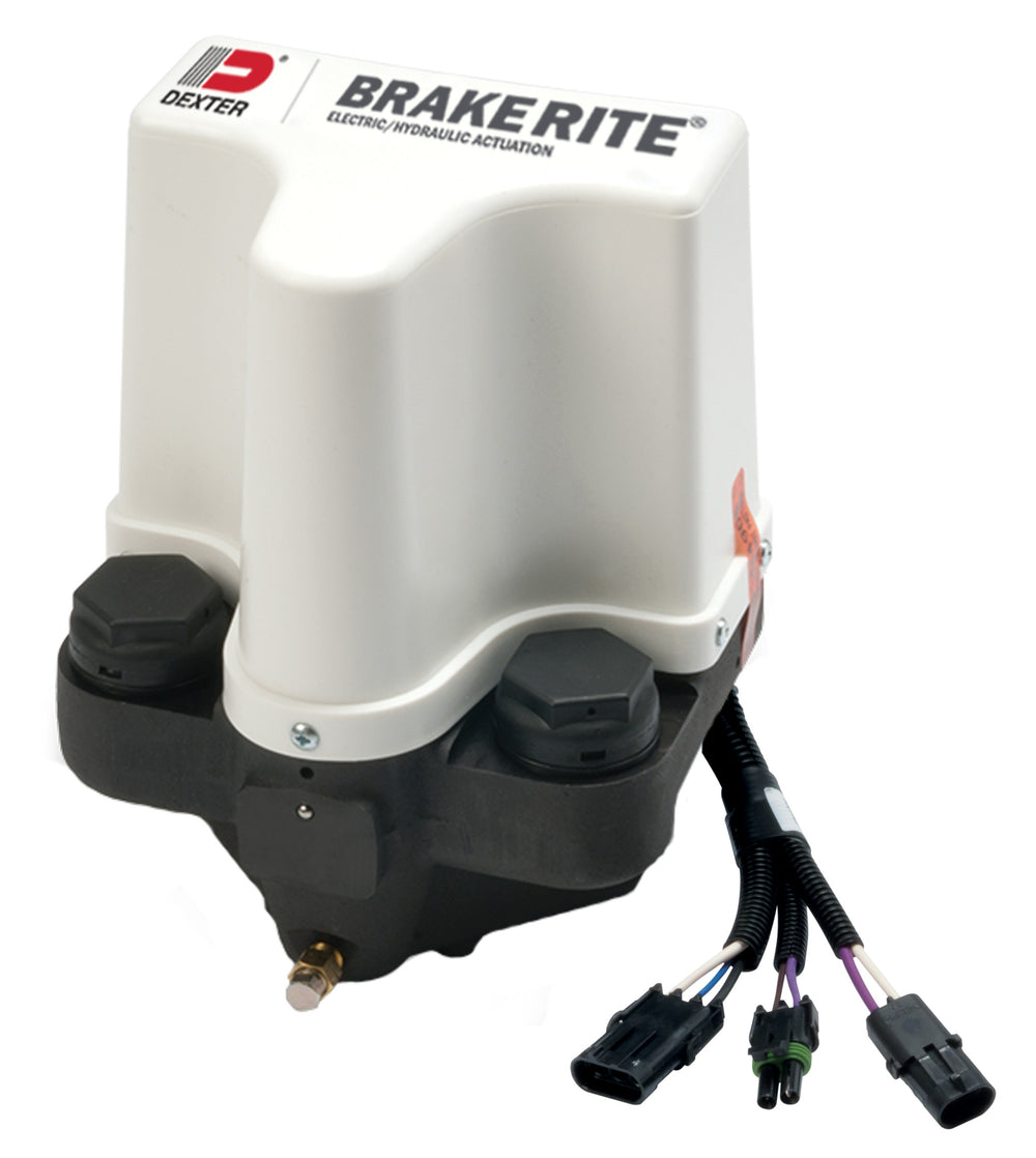BRAKERITE EHB ASSEMBLY DISC | P&P