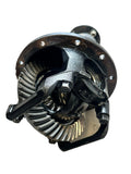 CAGE & CUPS ASSY