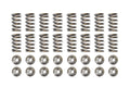 Brian Crower Mitsubishi 4G63 Eclipse/Evo Single Spring & Titanium Retainer Kit