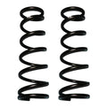 Skyjacker springs detail