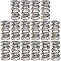 Manley Performance springs installed view