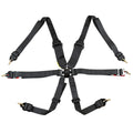 Harness 6pt Black Cam L 3in/2in Shoulder FIA