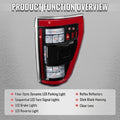 FORD F150 FULL LEDS TAILLIGHTS OE H