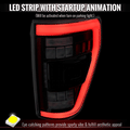 FORD F150 FULL LEDS TAILLIGHTS OE H