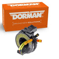 Dorman springs