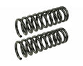COIL SPRINGS