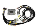 Rywire P16 PDM Honda Chassis Harness Kit (Drop Ship Only Note PO w/Model for Head/Taillight Adaptor)