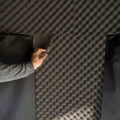 STUMP SEQUOIA WALL INSULATION