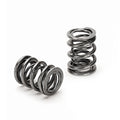 Supertech Nissan Pulsar Gti-R Dual Valve Spring Kit