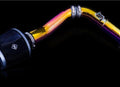 Weapon R 13-16 Honda Accord 2.4L Secret Weapon Neo Intake