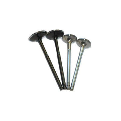 VALVE SET,2.0T FSI SS INCONEL