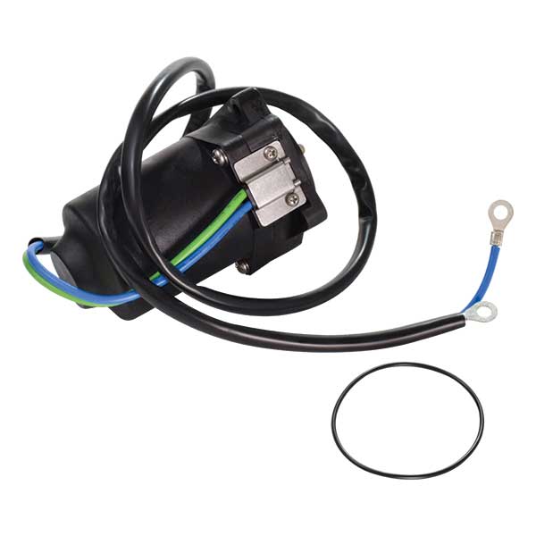 TRIM MOTOR