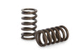 Kelford FORD ZETEC VALVE SPRING KIT