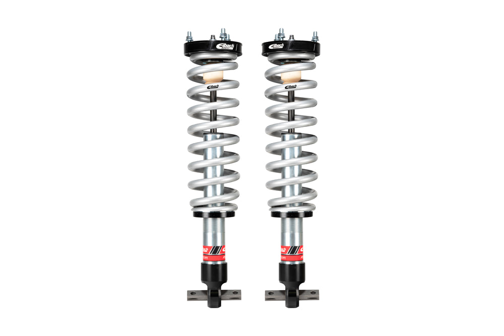 Eibach shock absorber