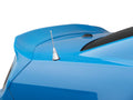 FORD MUSTANG 1011 REAR WING