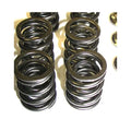 VALVE SPRING SET,12 vVR6 W-TI