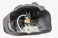 Radium Engineering MK4 Supra Fuel Hanger TI Automotive E5LM (Pumps Not Included)