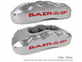 15 Ext Brake Sys Frt Slvr 04-08 F-150