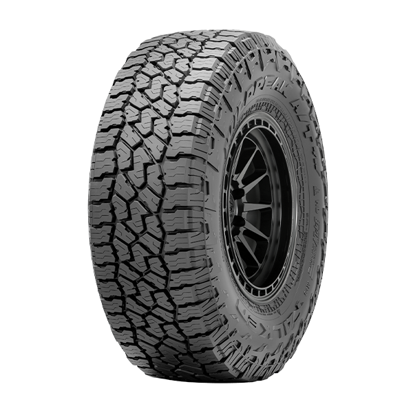 255/65R17 114T XL BSW WILDPEAK A/T4W