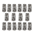Valve Spring