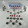 Ferrea Racing springs
