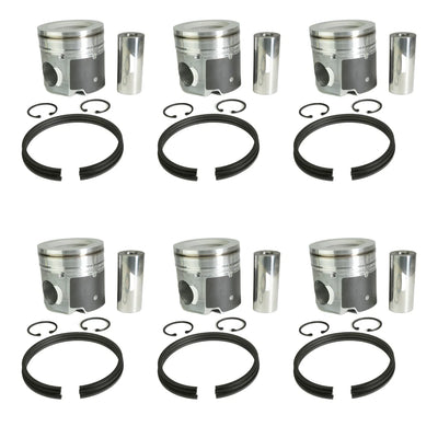 PISTON W/PIN, RETAINER & RINGS