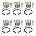 PISTON W/PIN, RETAINER & RINGS