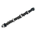 XE 218/224 Hyd Flat Cam for Ford 429,460