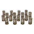 PAC RACING SPRINGS springs close-up