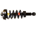 QUICK-STRUT ASSEMBLY
