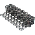 Supertech titanium springs