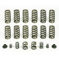 ~(1 lbs. 4X4X4)~ Spring Kit 12 HD Valve Springs For 94-98 Dodge Ram 2500/3500 Cummins 12 Valve Engine W/ P7100 Injection Pump Pacbrake