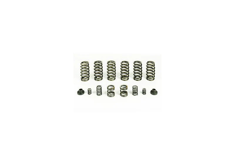 Pacbrake springs