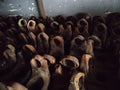 END YOKE