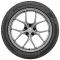 ADVSPORT EV AS285/40R19