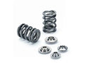 Supertech Honda B-Series Dual Valve Spring Kit (Set of 16)